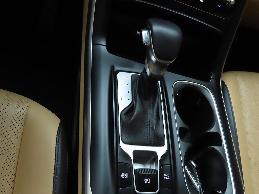 KIA Carnival - Vista 10