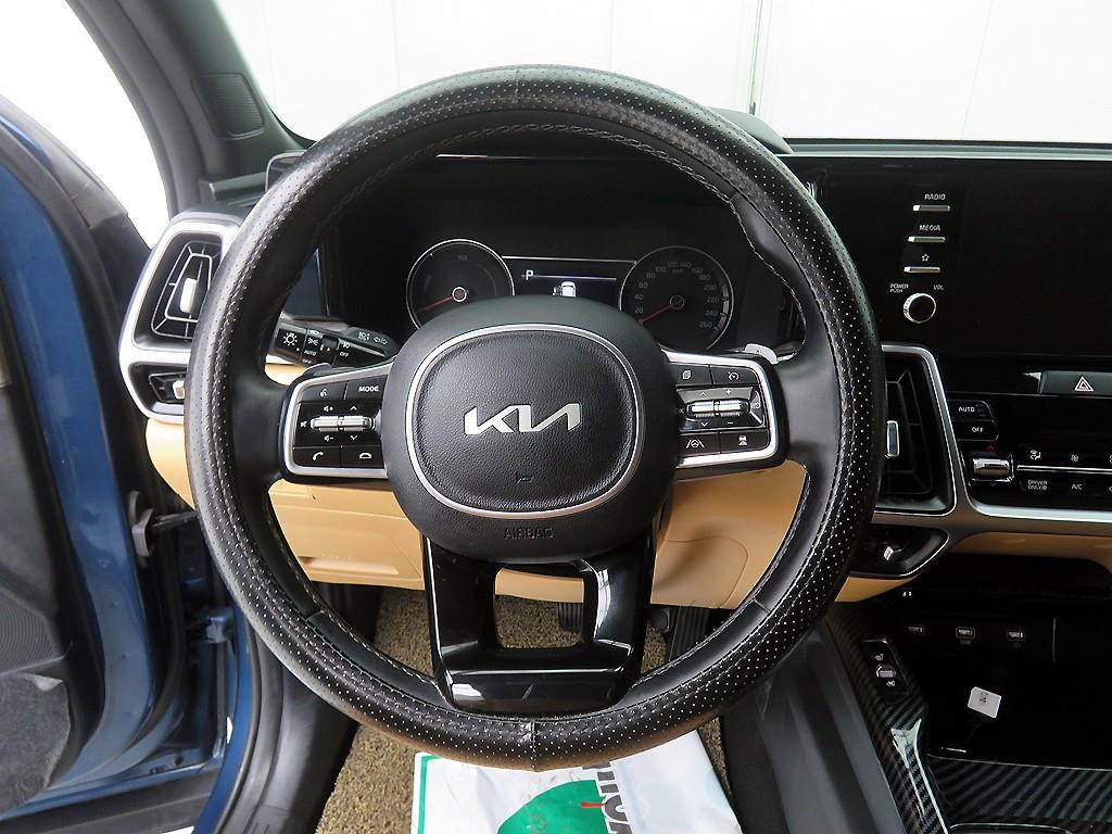 KIA Sorento - Vista 10