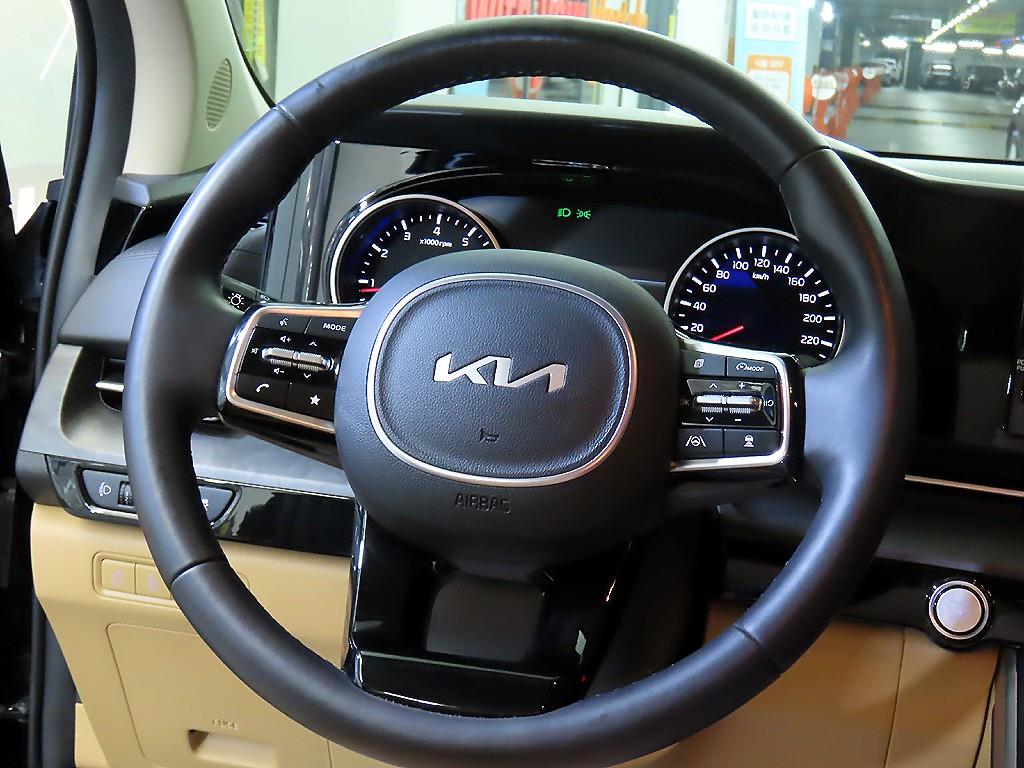 KIA Carnival - Vista 8