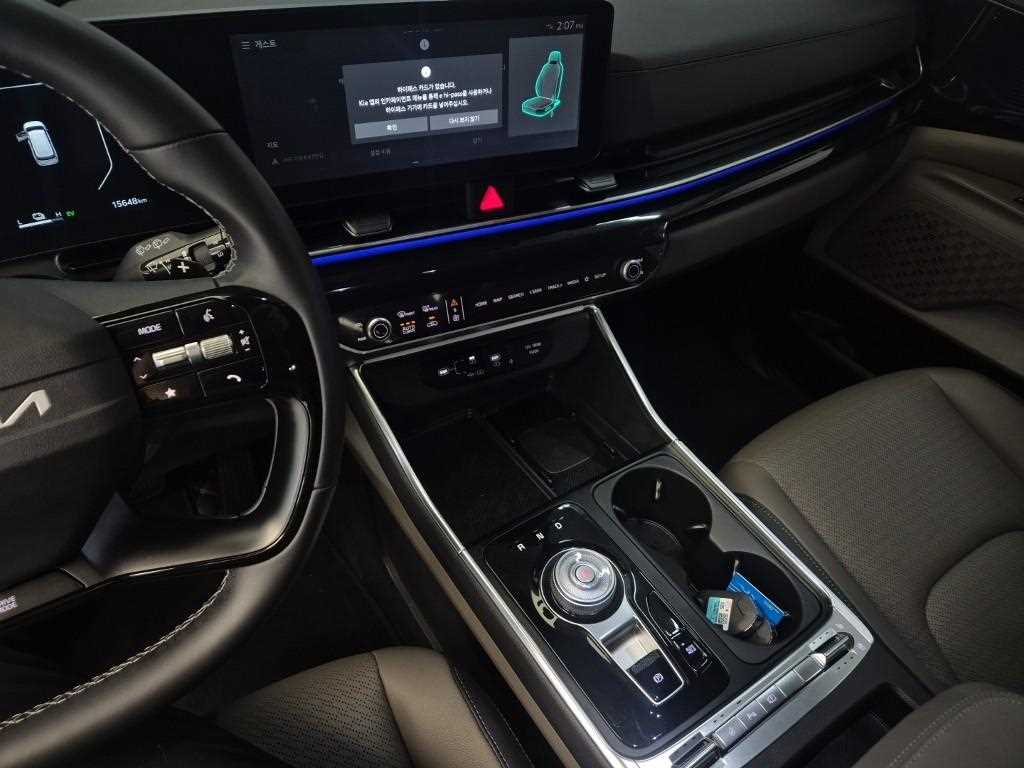 KIA Carnival - Vista 10