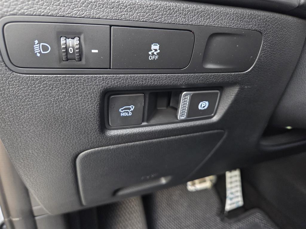 HYUNDAI Palisade - Vista 10