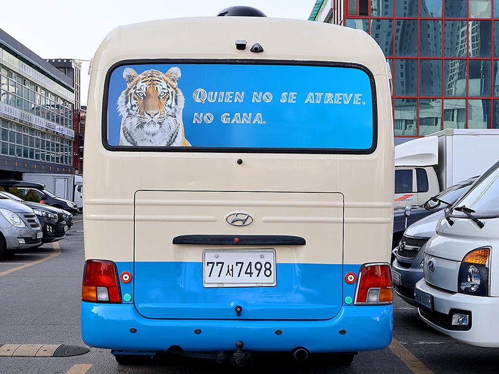 medium and large bus Hyundai bus - Vista 7