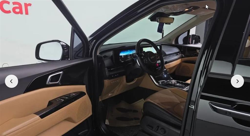 KIA Carnival - Vista 10