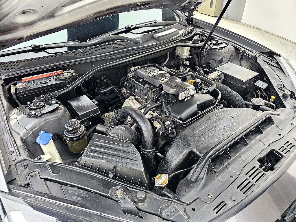 HYUNDAI Genesis - Vista 6