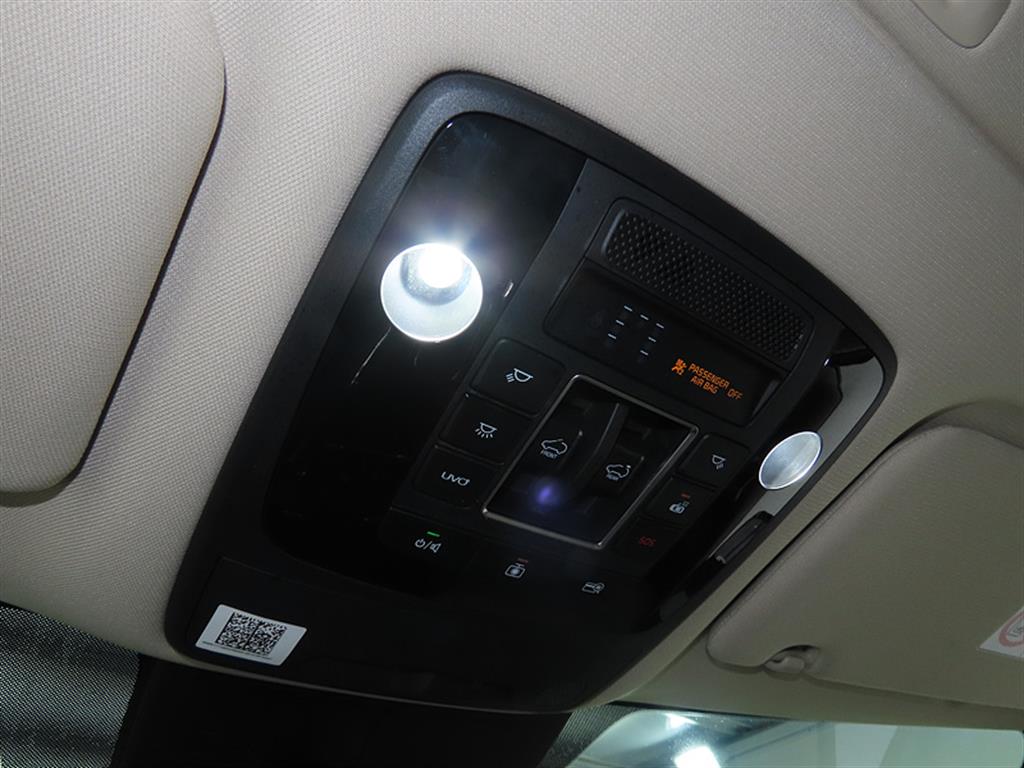 KIA Carnival - Vista 12