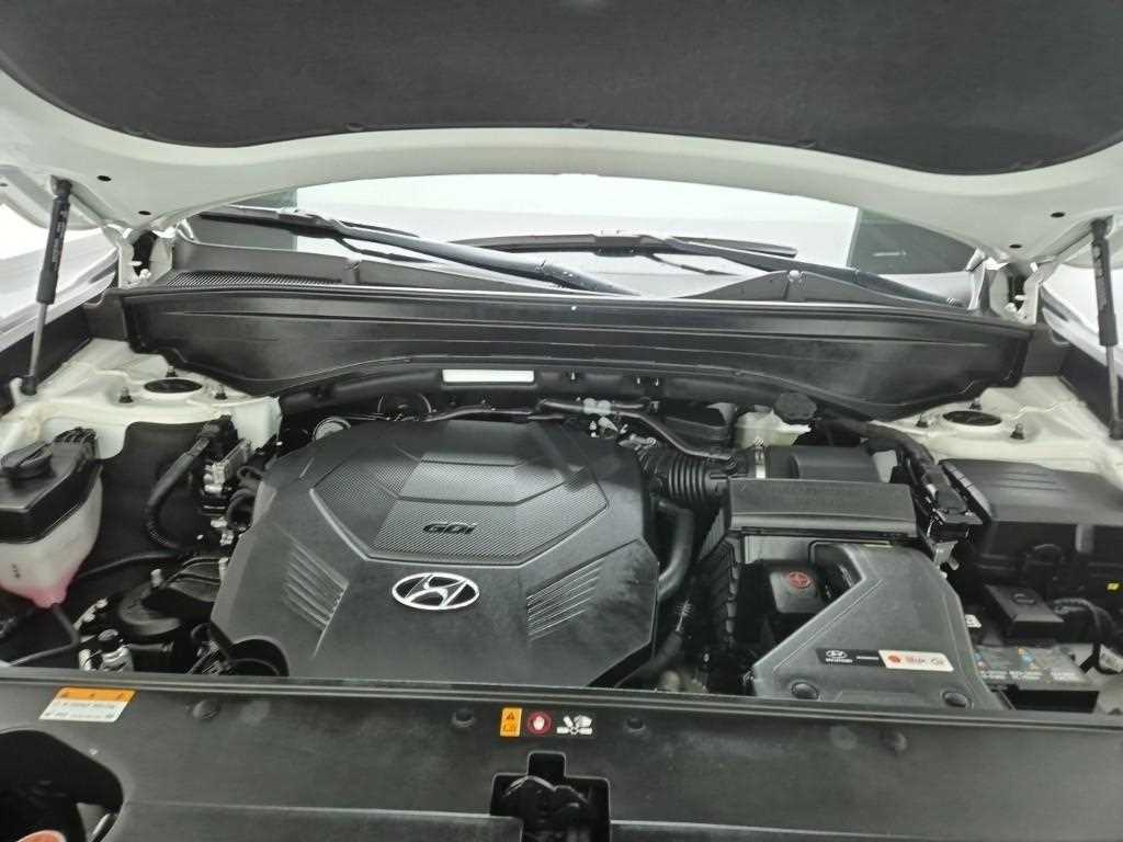 HYUNDAI Palisade - Vista 5