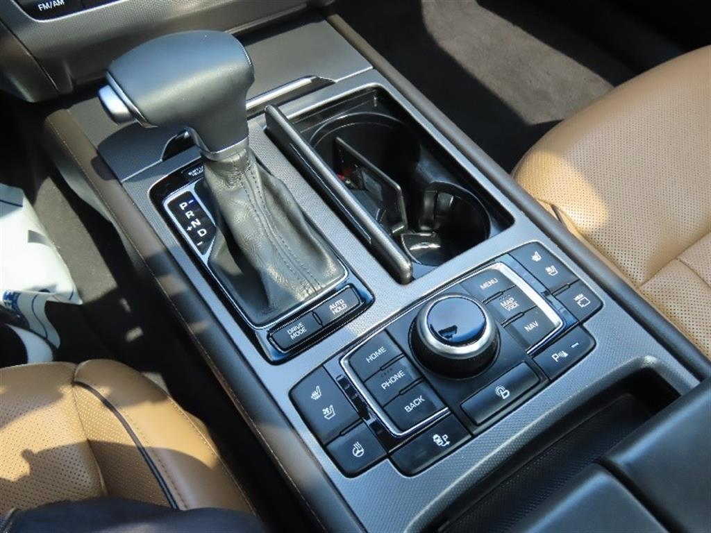 HYUNDAI Genesis - Vista 11