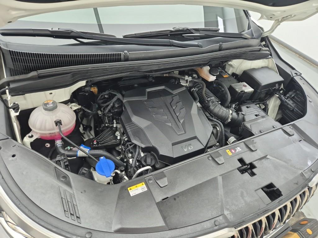 KIA Carnival - Vista 6