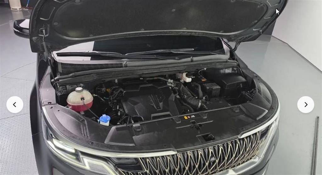 KIA Carnival - Vista 6