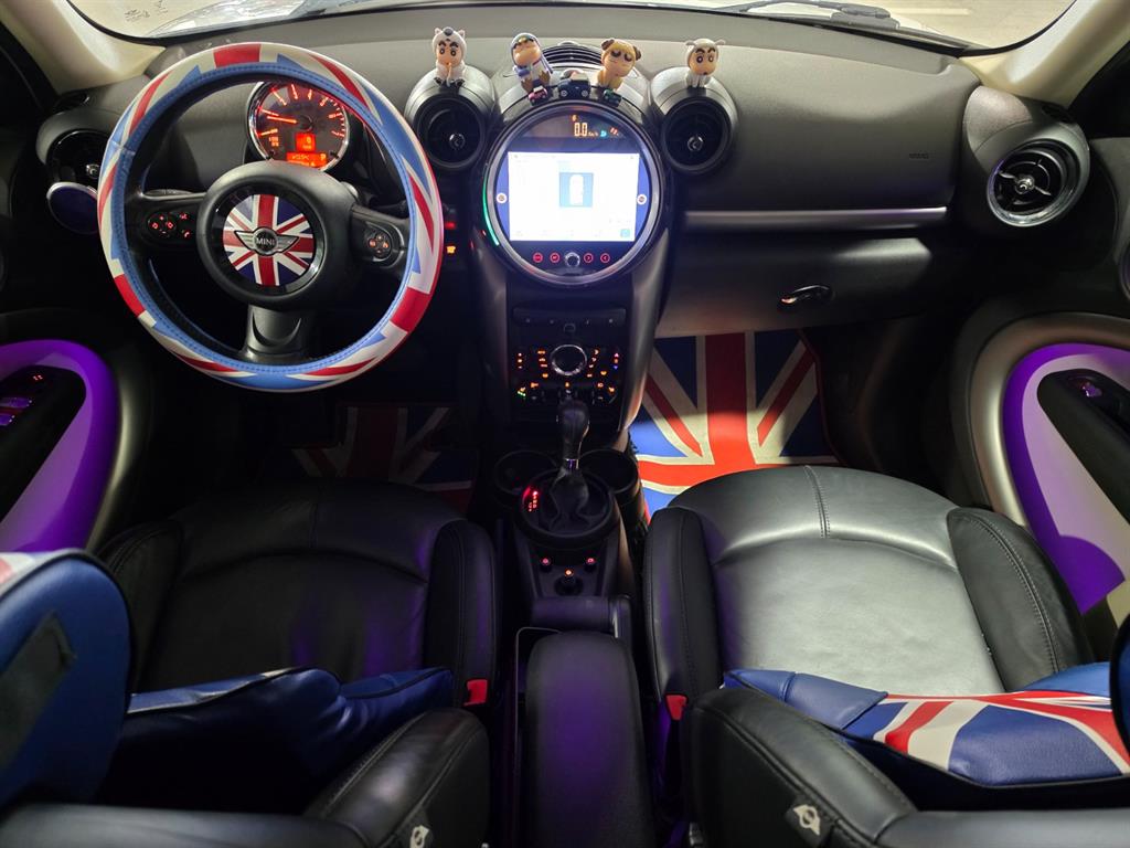 Mini Countryman - Vista 5