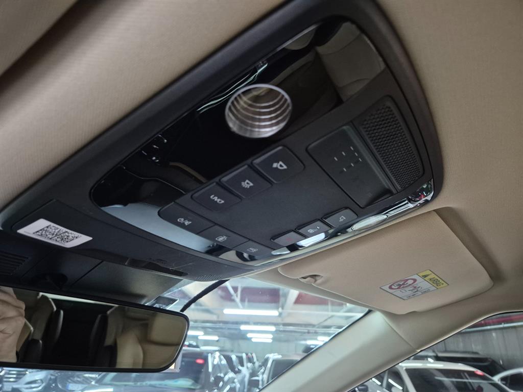 KIA Carnival - Vista 12