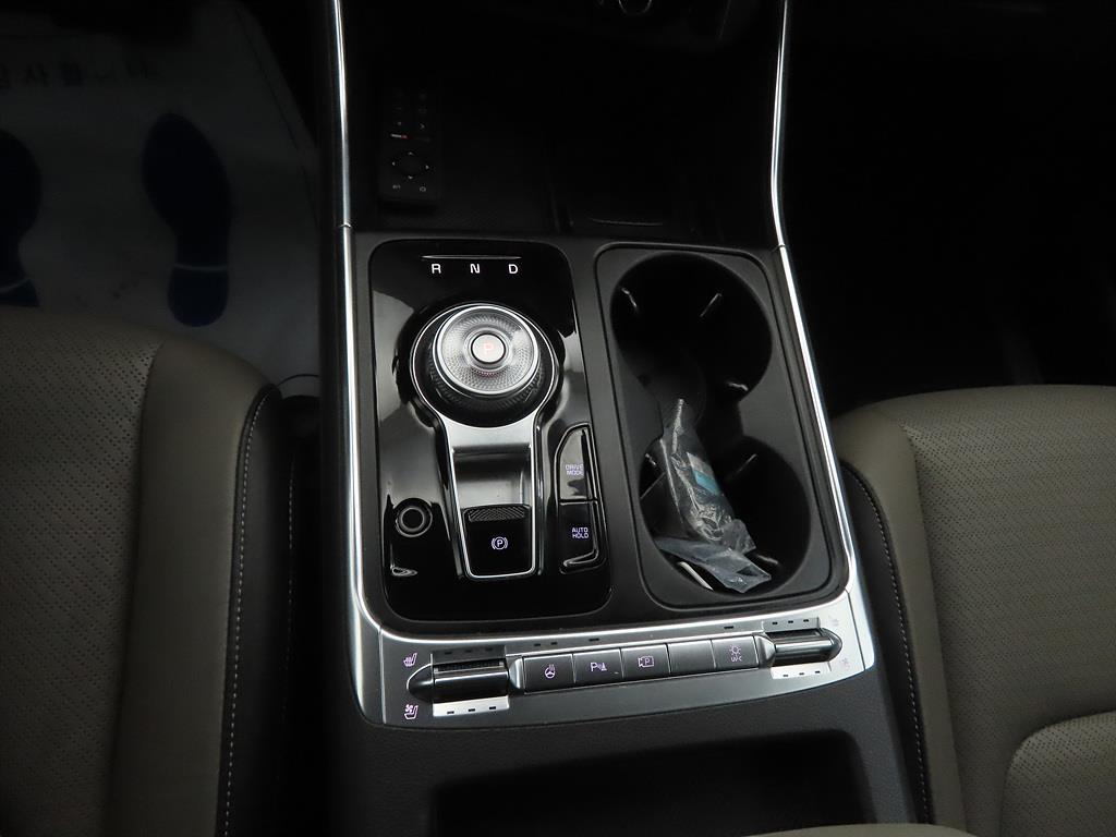 KIA Carnival - Vista 12