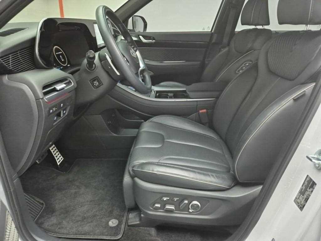 HYUNDAI Palisade - Vista 11