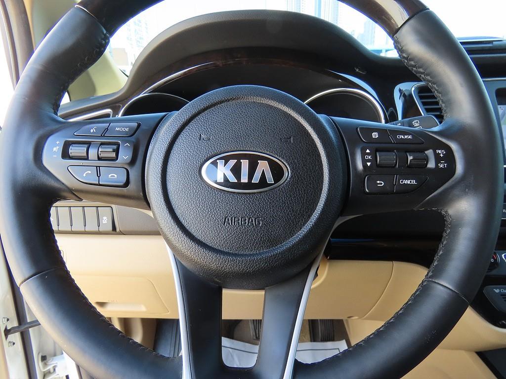 KIA Carnival - Vista 10