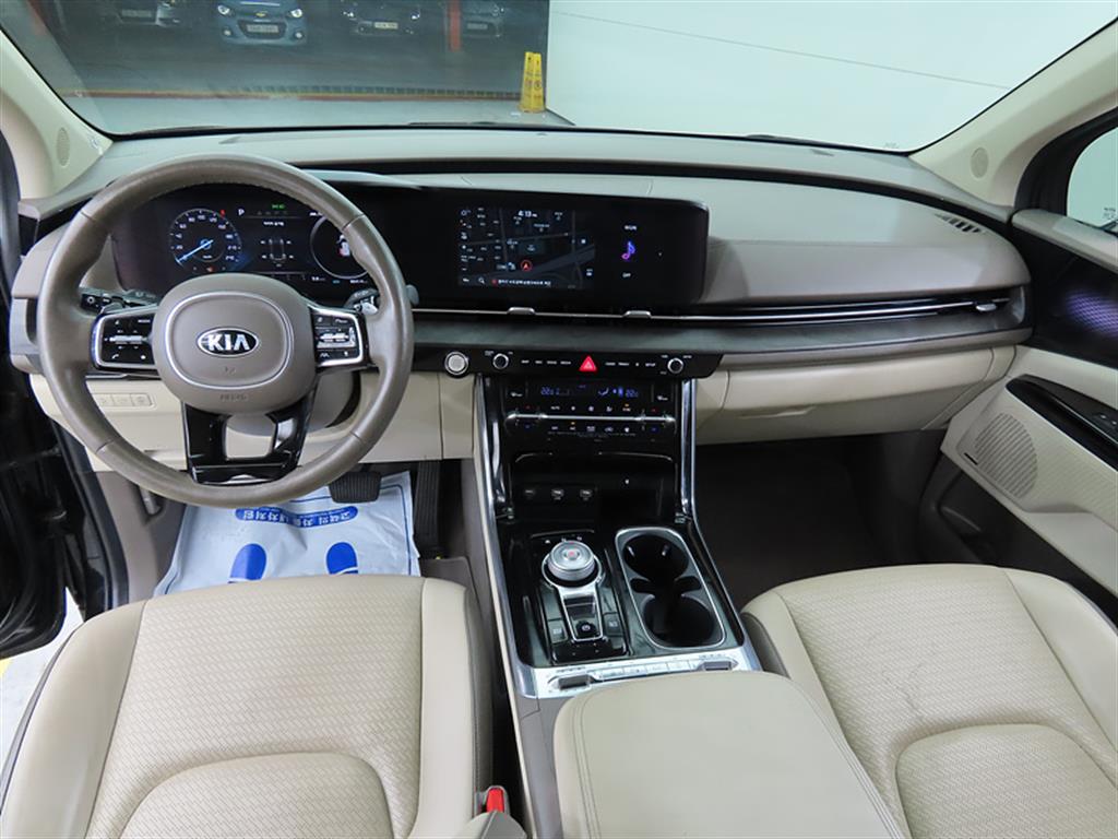 KIA Carnival - Vista 8