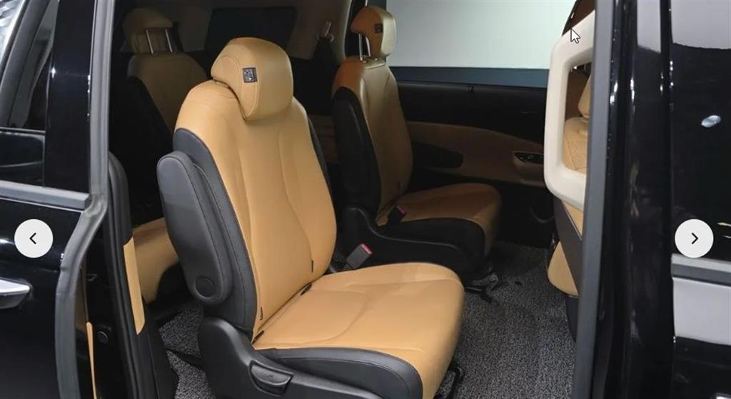 KIA Carnival - Vista 12