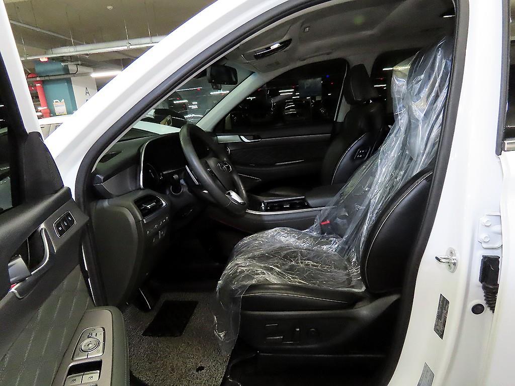 HYUNDAI Palisade - Vista 6