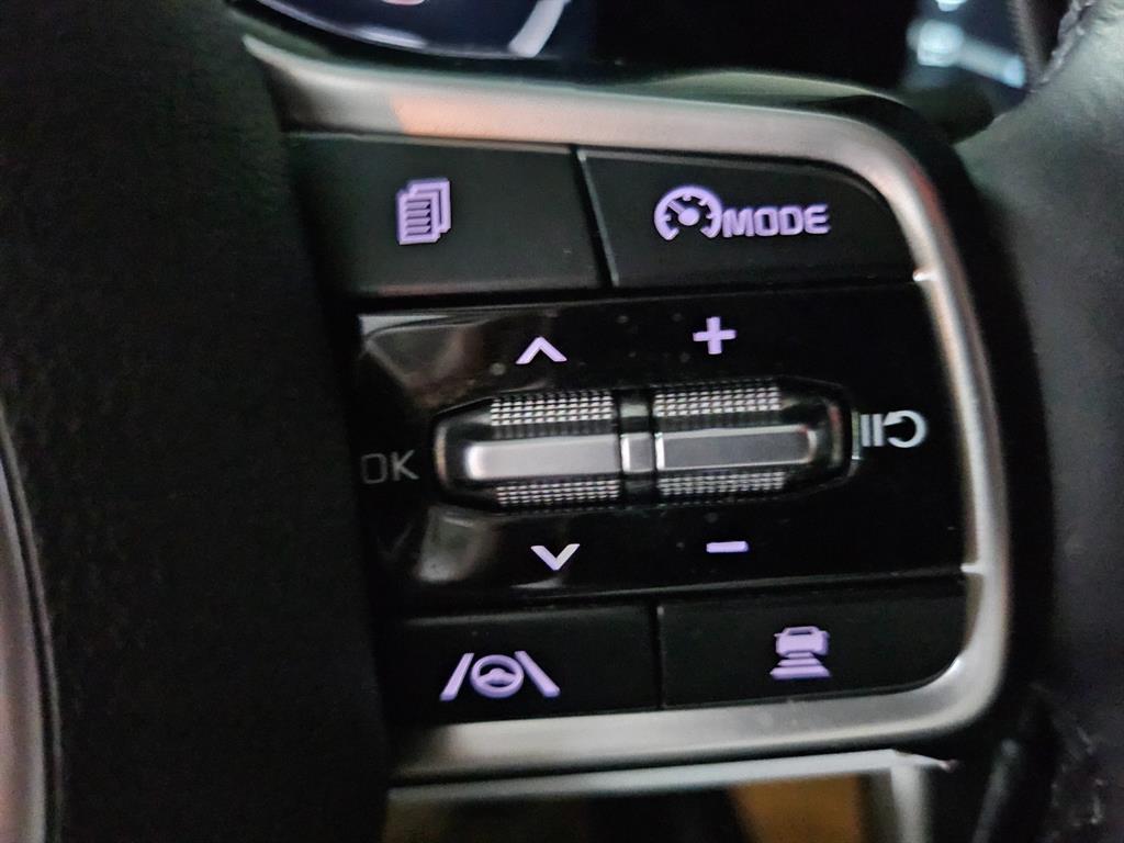 KIA Carnival - Vista 11