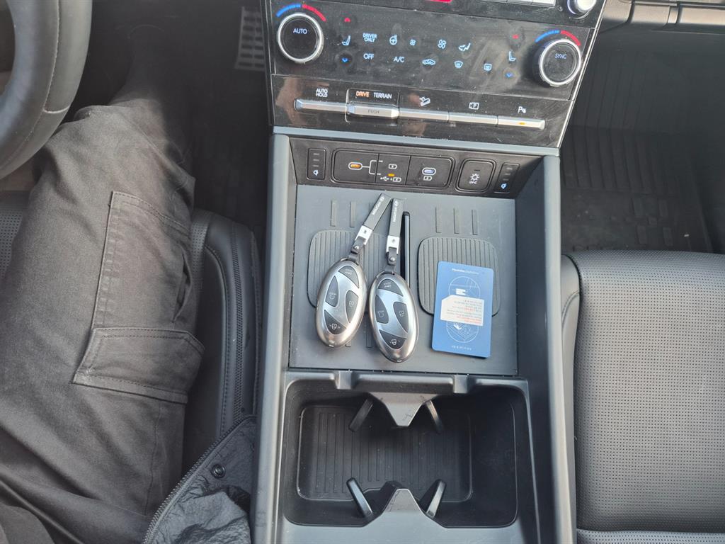 HYUNDAI Santa Fe - Vista 12