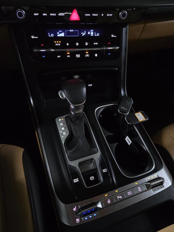 KIA Carnival - Vista 12