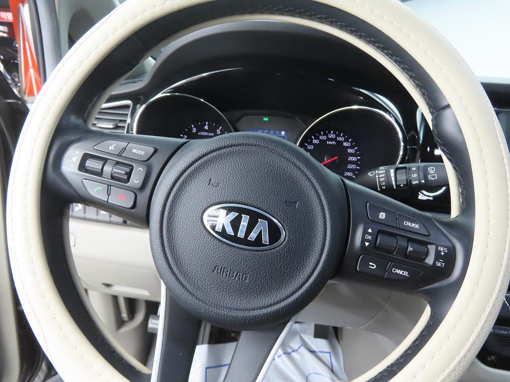 KIA Carnival - Vista 8