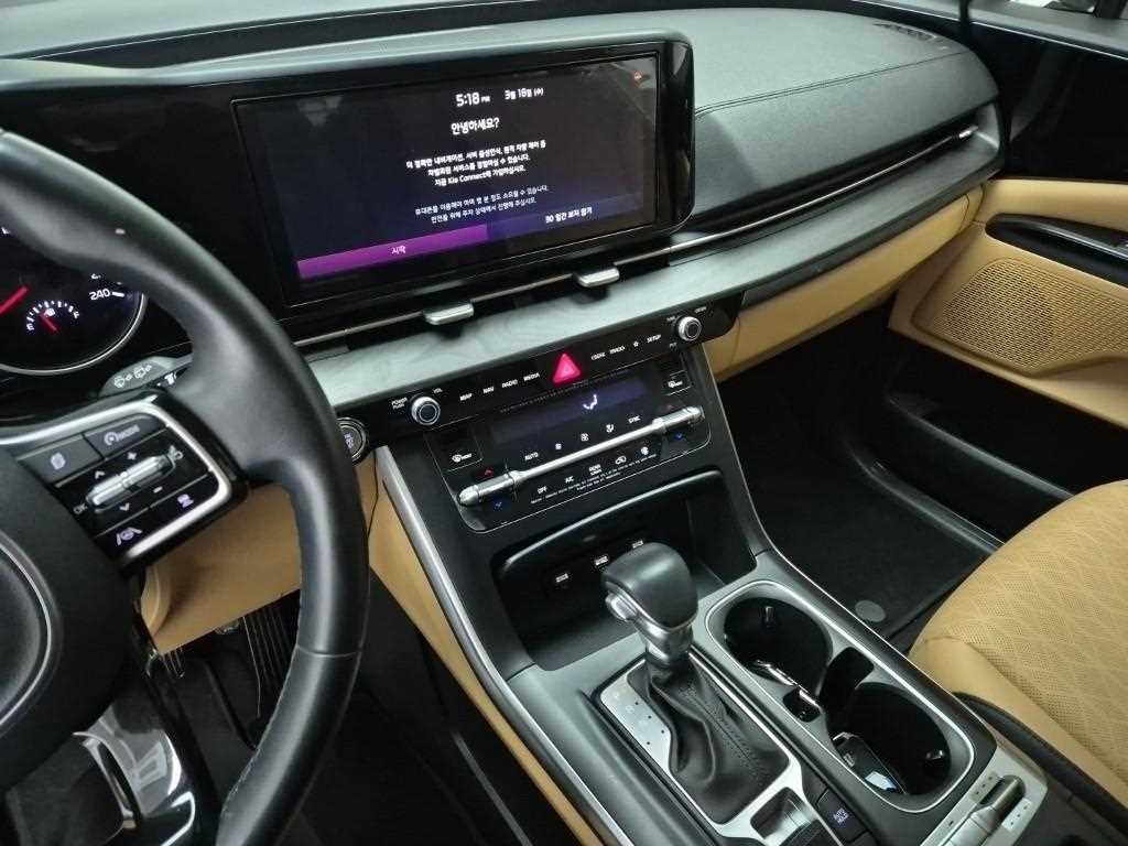 KIA Carnival - Vista 10