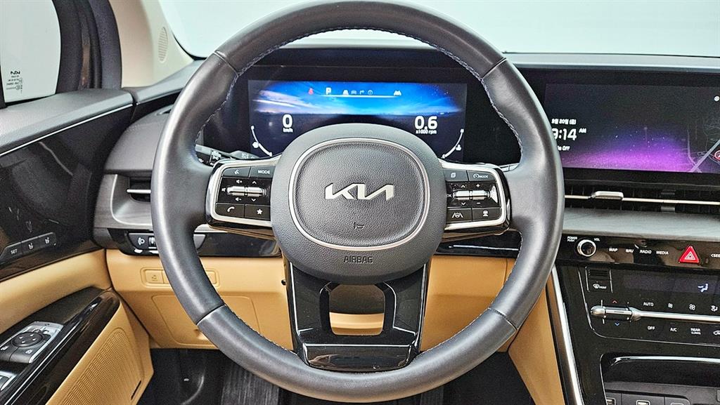 KIA Carnival - Vista 12