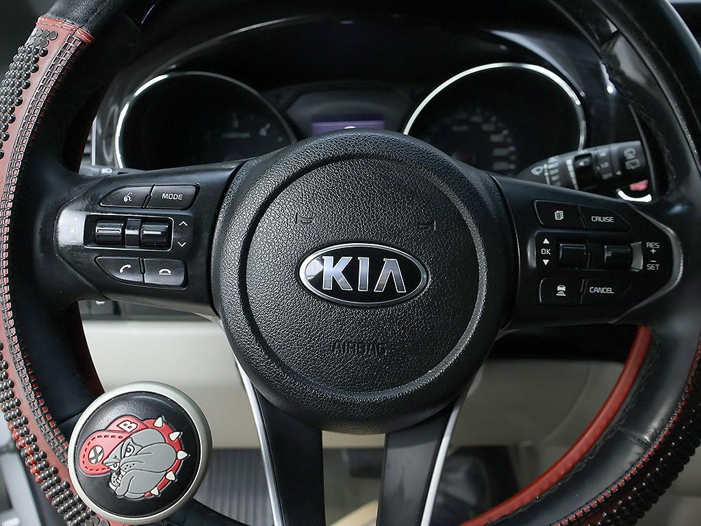 KIA Carnival - Vista 12