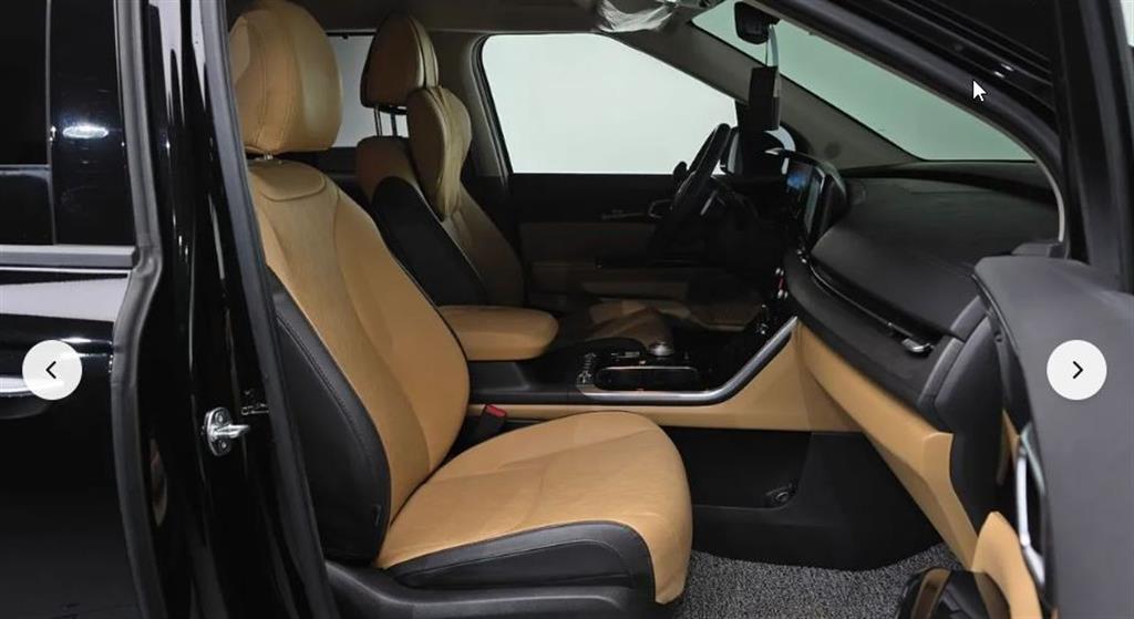 KIA Carnival - Vista 11