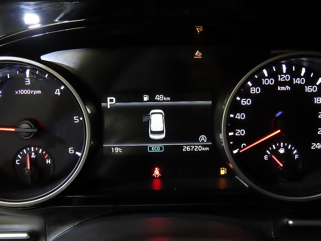 KIA Carnival - Vista 9