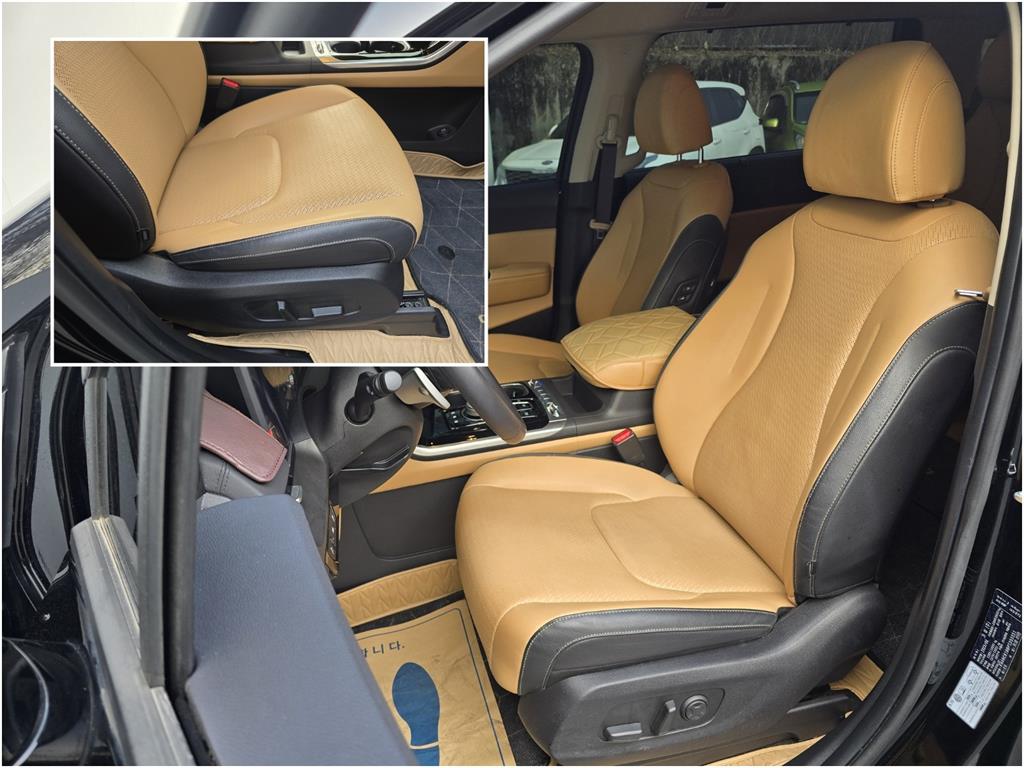 KIA Carnival - Vista 10