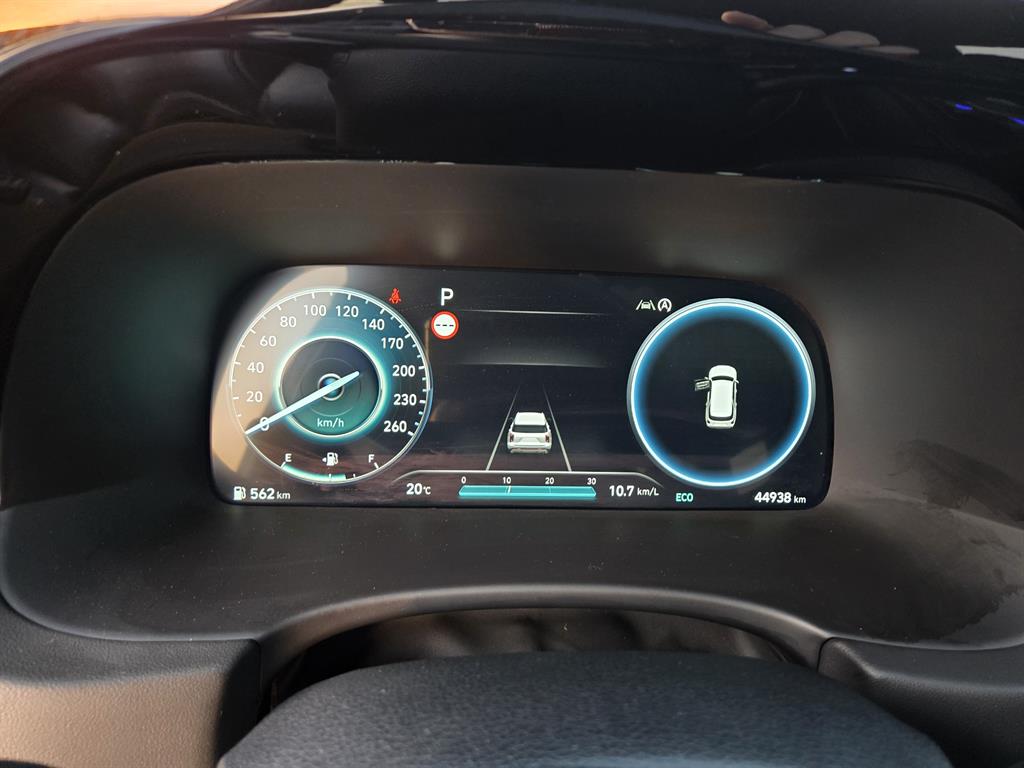 HYUNDAI Palisade - Vista 9