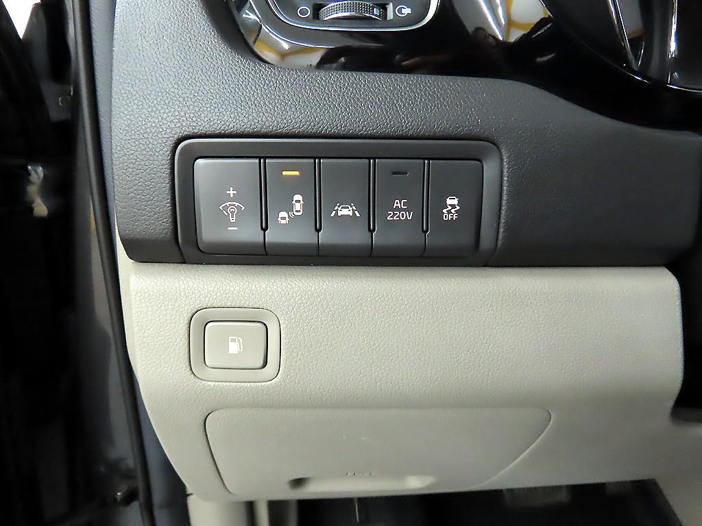 KIA Carnival - Vista 12