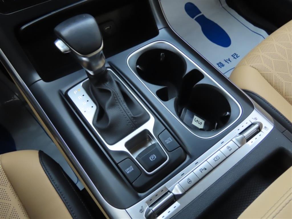 KIA Carnival - Vista 11