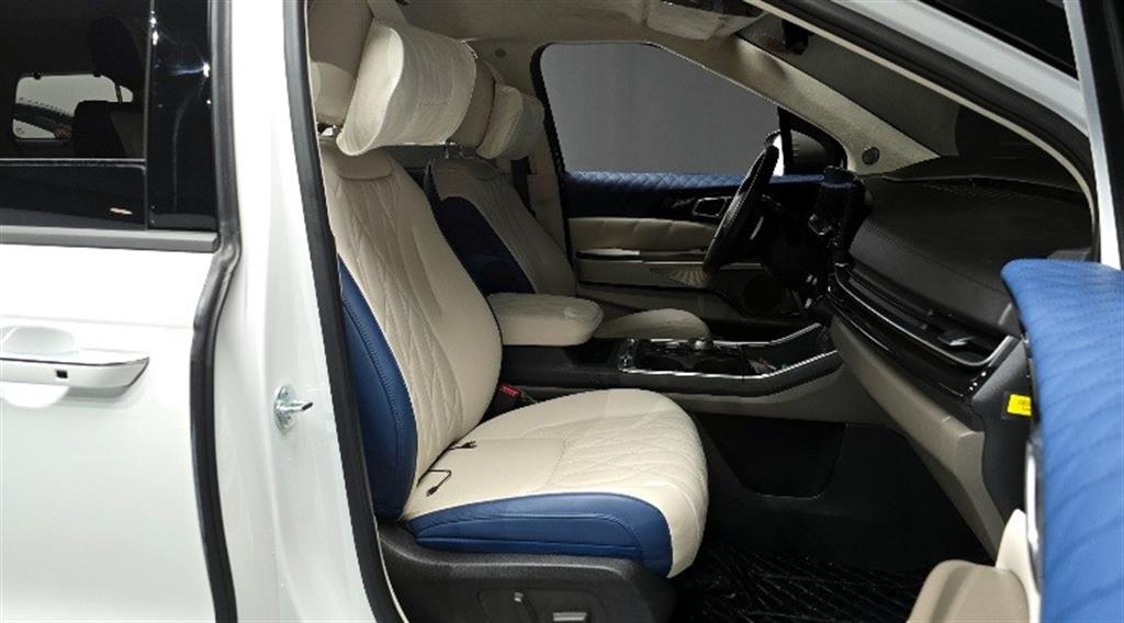 KIA Carnival - Vista 10