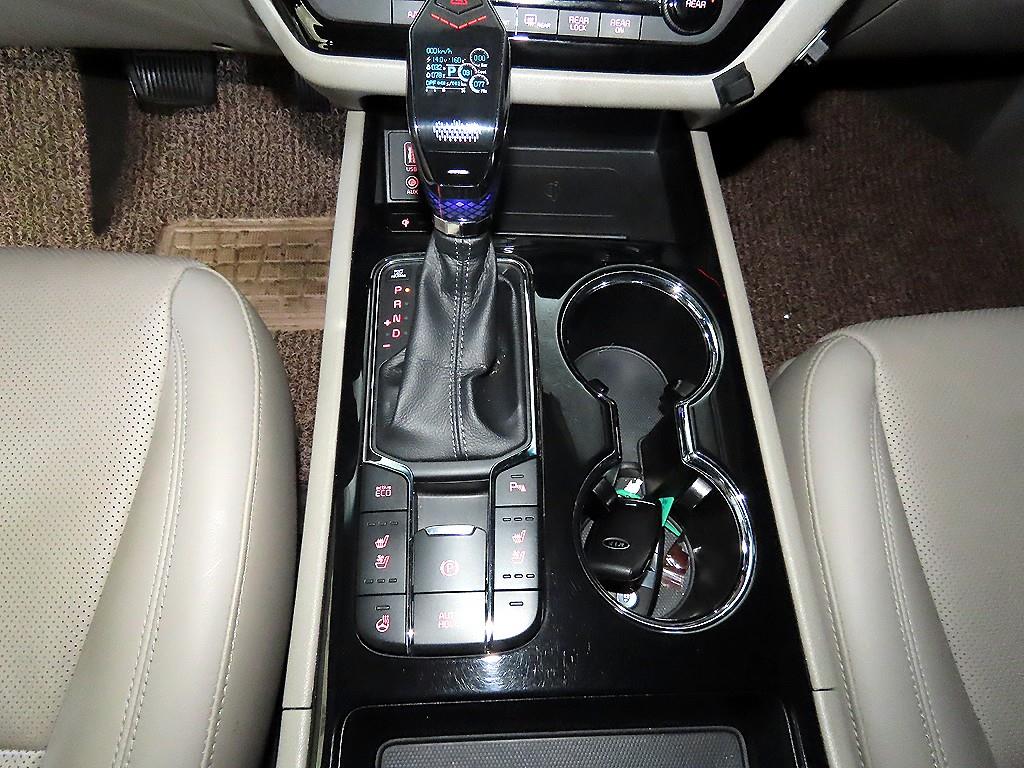 KIA Carnival - Vista 12