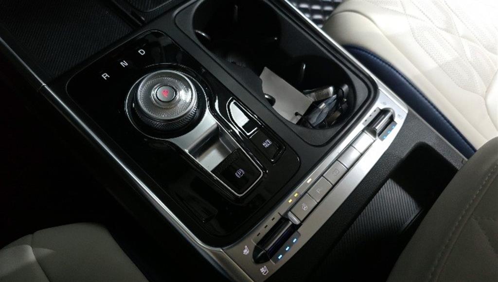 KIA Carnival - Vista 9