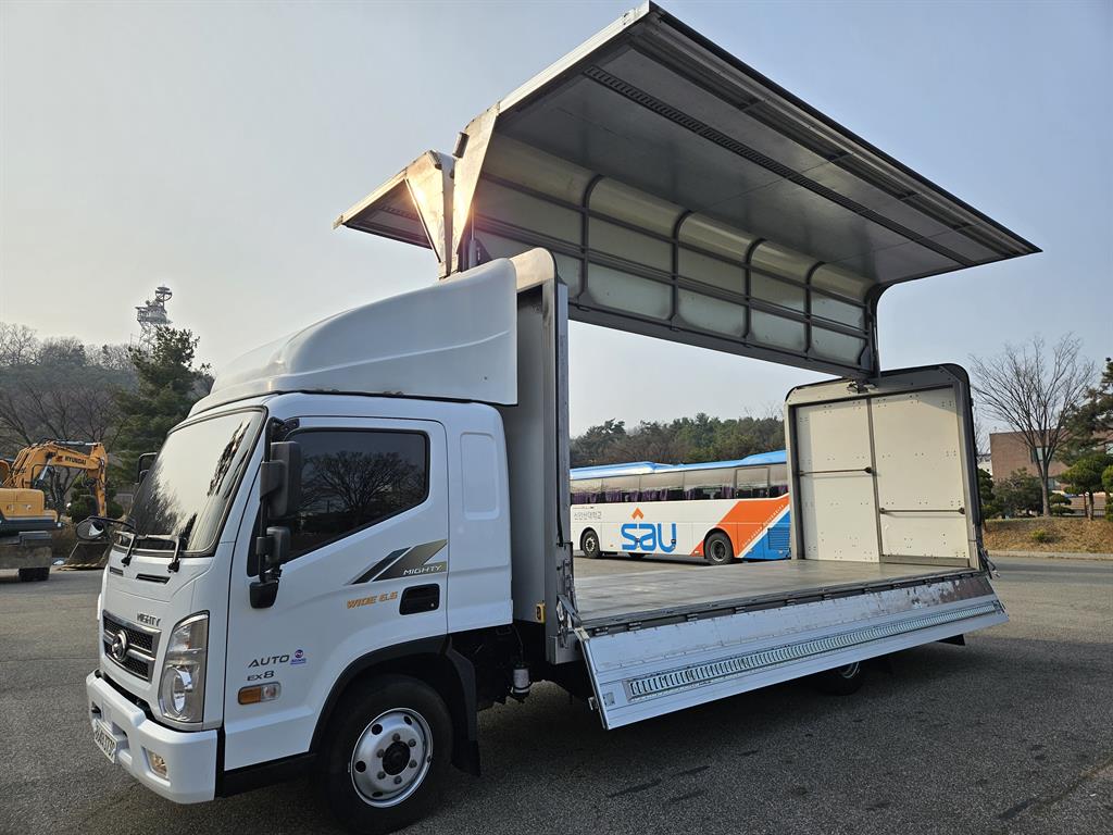 medium and large cargo truck - Vista 10