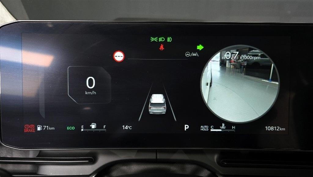 KIA Carnival - Vista 8