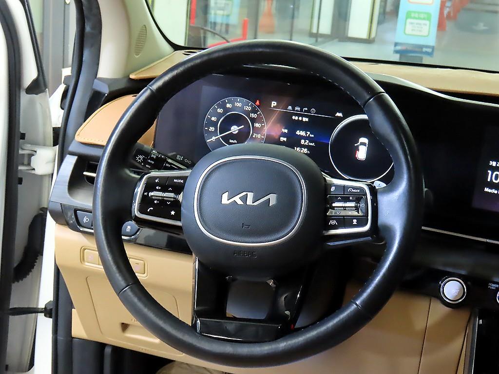 KIA Carnival - Vista 8