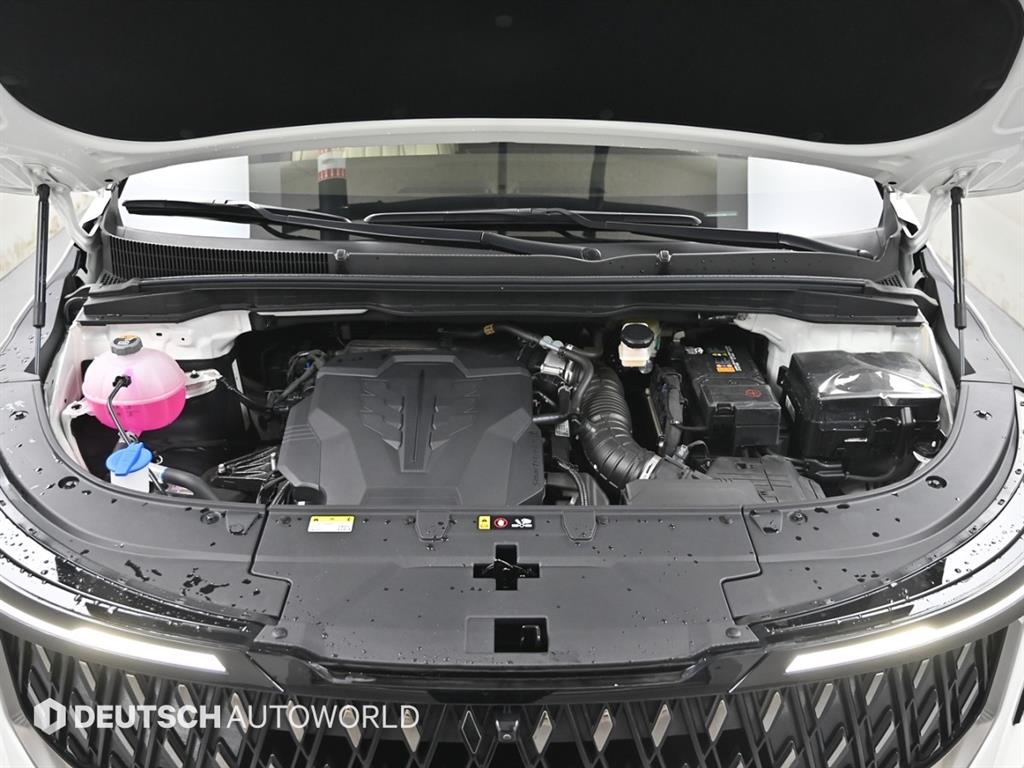 KIA Carnival - Vista 6