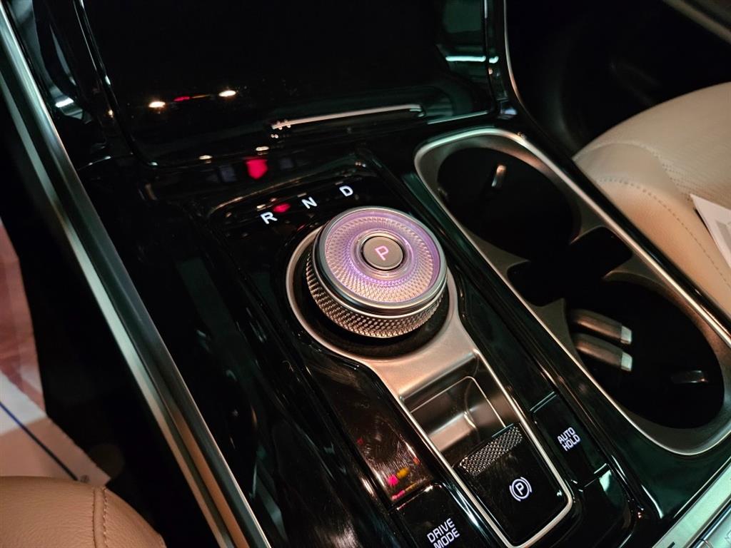 KIA Carnival - Vista 12