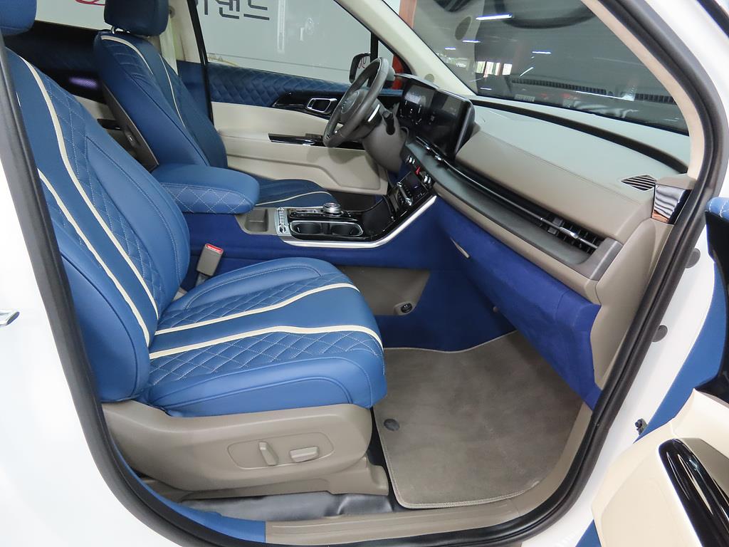 KIA Carnival - Vista 8