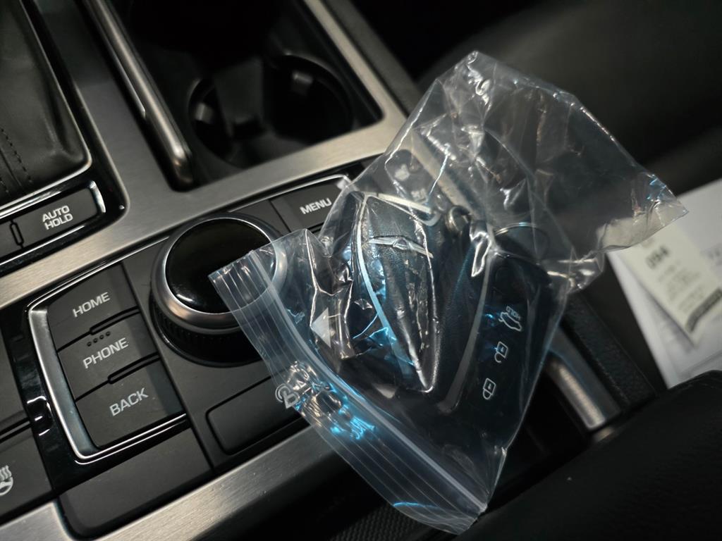 HYUNDAI Genesis - Vista 11