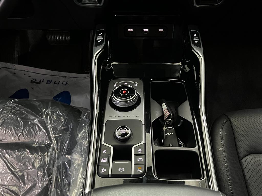 KIA Sorento - Vista 12