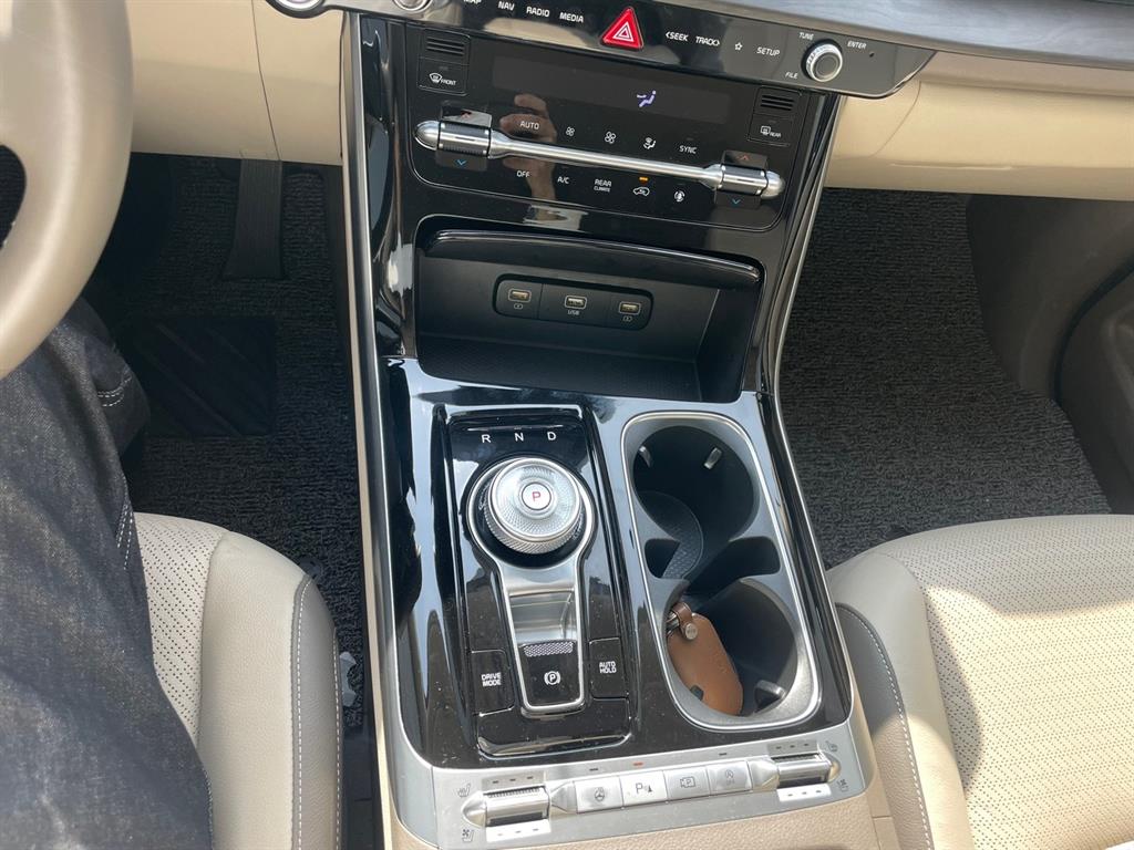 KIA Carnival - Vista 12