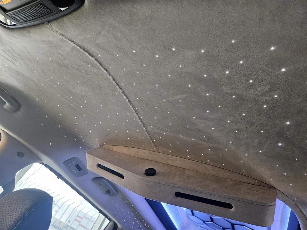 KIA Carnival - Vista 12