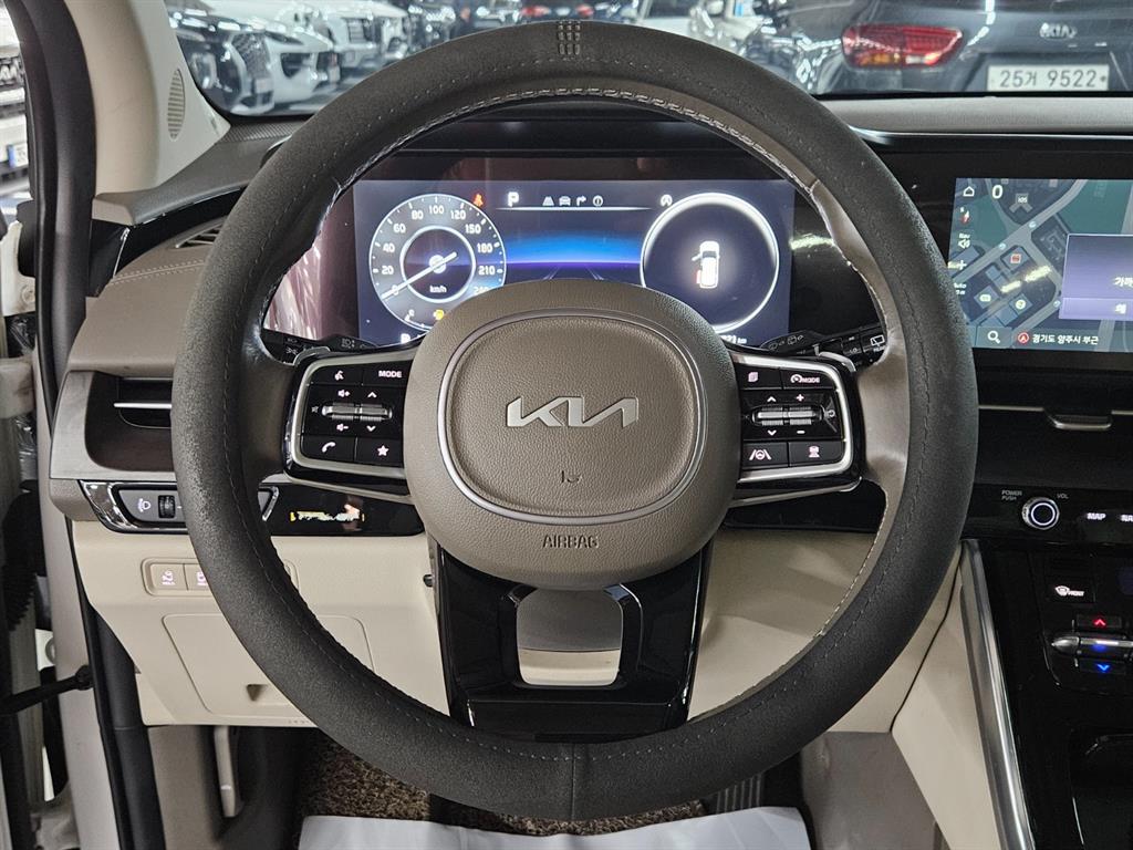 KIA Carnival - Vista 8