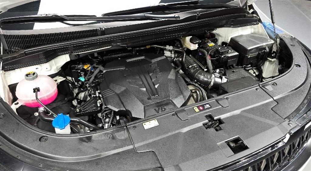 KIA Carnival - Vista 6