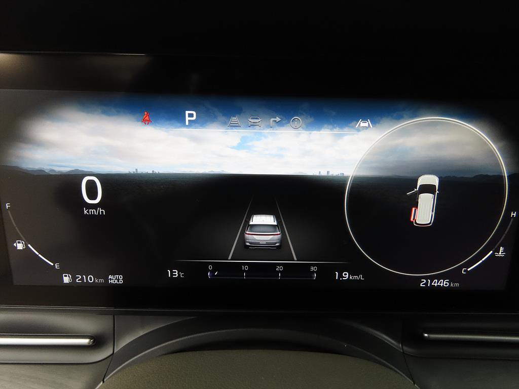 KIA Carnival - Vista 11